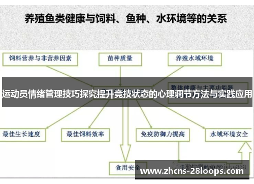 运动员情绪管理技巧探究提升竞技状态的心理调节方法与实践应用