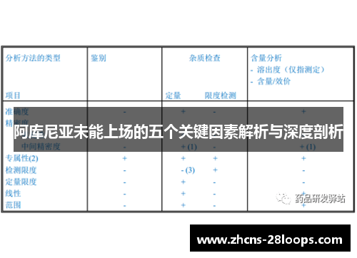 阿库尼亚未能上场的五个关键因素解析与深度剖析