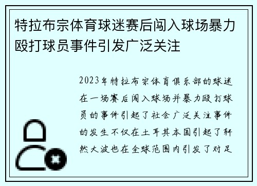 特拉布宗体育球迷赛后闯入球场暴力殴打球员事件引发广泛关注